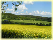Blick vom Fuchsberg - Neuschirgiswalde